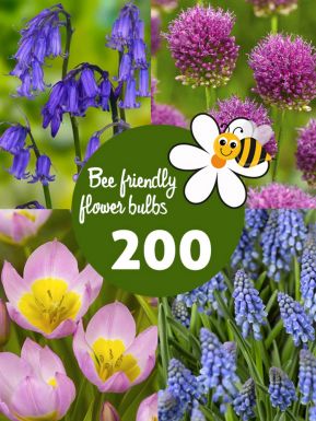 Bee friendly bulb collection