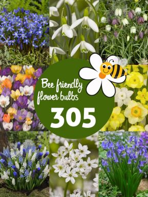Bee friendly bulb collection - large