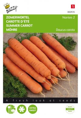 Carrot nantes 2