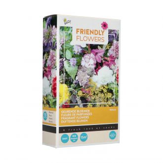 Friendly flowers - duftblumen mischung