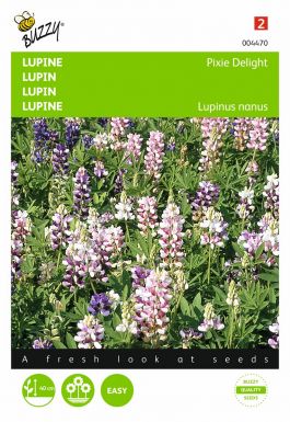 Lupin pixie delight mixed