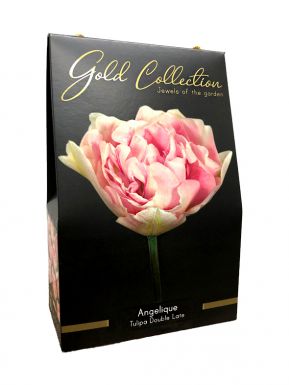 Angelique - gold collection