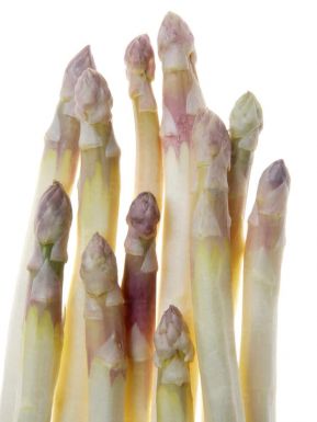 Asparagus roem van washington